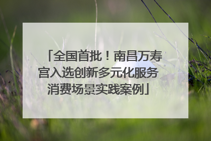 全国首批！南昌万寿宫入选创新多元化服务消费场景实践案例