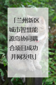 兰州新区城市智慧能源岛协同耦合项目成功并网发电