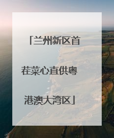兰州新区首茬菜心直供粤港澳大湾区