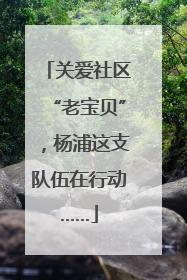 关爱社区“老宝贝”，杨浦这支队伍在行动……