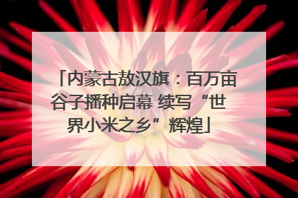 内蒙古敖汉旗：百万亩谷子播种启幕 续写“世界小米之乡”辉煌