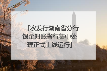 农发行湖南省分行银企对账省行集中处理正式上线运行