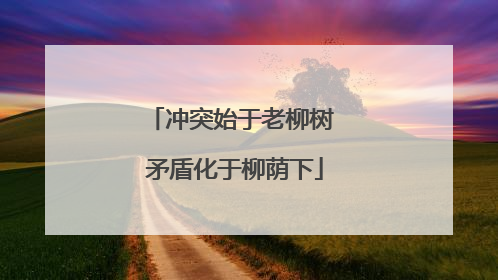 冲突始于老柳树 矛盾化于柳荫下