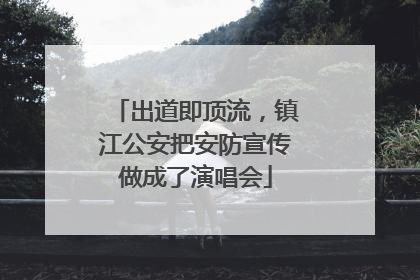 出道即顶流，镇江公安把安防宣传做成了演唱会