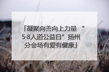 凝聚向善向上力量 “5·8人道公益日”扬州分会场有爱有健康