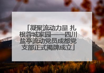 凝聚流动力量 扎根蓉城家园——四川盐亭流动党员成都党支部正式揭牌成立