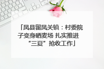 凤县留凤关镇：村委院子变身晒麦场 扎实推进“三夏”抢收工作