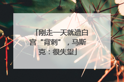 刚走一天就遭白宫“背刺”，马斯克：很失望