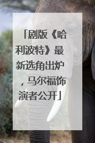 剧版《哈利波特》最新选角出炉，马尔福饰演者公开