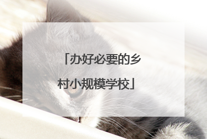 办好必要的乡村小规模学校