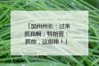 加州州长：过来抓我啊；特朗普：抓他，这很棒！