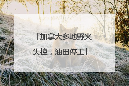 加拿大多地野火失控，油田停工