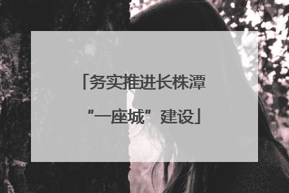 务实推进长株潭“一座城”建设