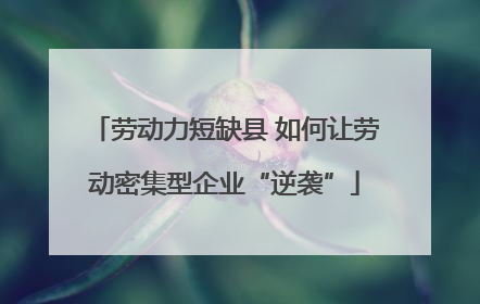 劳动力短缺县 如何让劳动密集型企业“逆袭”