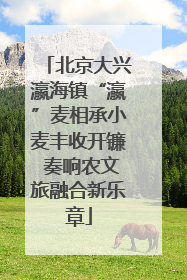 北京大兴瀛海镇“瀛”麦相承小麦丰收开镰 奏响农文旅融合新乐章