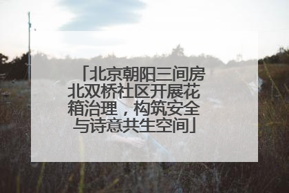 北京朝阳三间房北双桥社区开展花箱治理，构筑安全与诗意共生空间