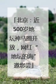 北京：近500岁地坛神马圈开放，网红“地坛的海”邀您尝