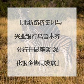 北新路桥集团与兴业银行乌鲁木齐分行开展座谈 深化银企协同发展