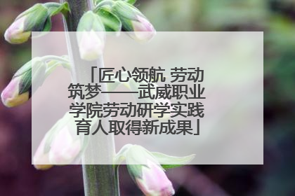 匠心领航 劳动筑梦——武威职业学院劳动研学实践育人取得新成果