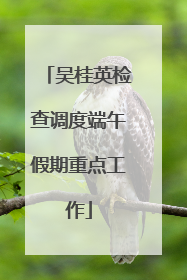 吴桂英检查调度端午假期重点工作