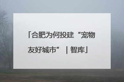 合肥为何投建“宠物友好城市”｜智库