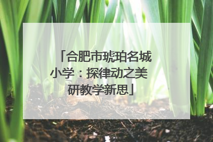 合肥市琥珀名城小学：探律动之美 研教学新思