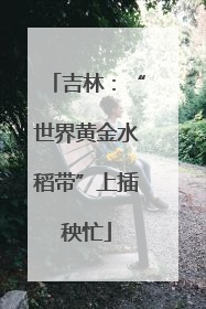 吉林：“世界黄金水稻带”上插秧忙