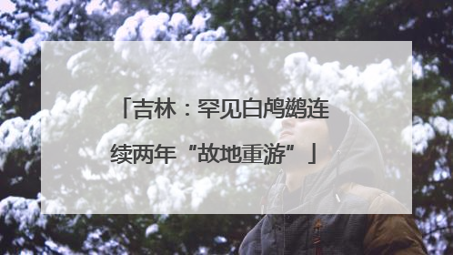 吉林：罕见白鸬鹚连续两年“故地重游”