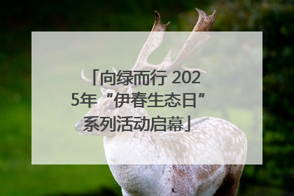 向绿而行 2025年“伊春生态日”系列活动启幕