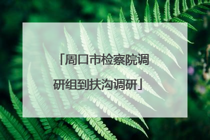 周口市检察院调研组到扶沟调研