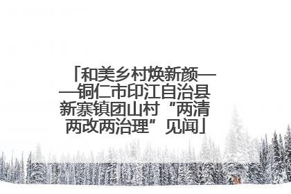 和美乡村焕新颜——铜仁市印江自治县新寨镇团山村“两清两改两治理”见闻