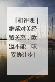 和评理｜维系对美经贸关系，欧盟不能一味妥协让步