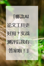 哪款AI论文工具更好用？实战测评后我有答案啦！