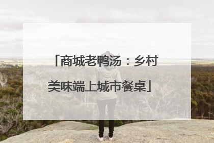商城老鸭汤：乡村美味端上城市餐桌
