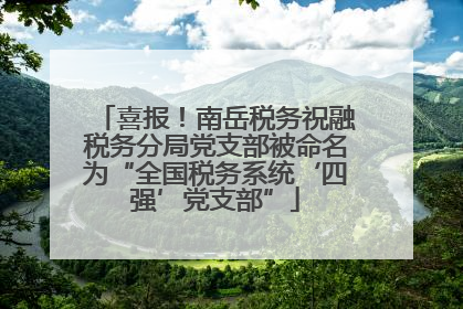 喜报！南岳税务祝融税务分局党支部被命名为“全国税务系统‘四强’党支部”