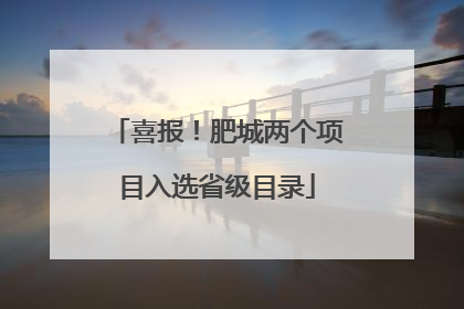 喜报！肥城两个项目入选省级目录