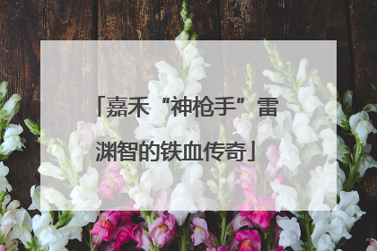 嘉禾“神枪手”雷渊智的铁血传奇