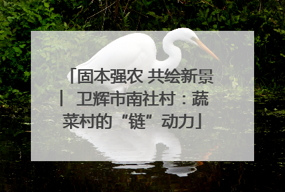 固本强农 共绘新景 ︳卫辉市南社村：蔬菜村的“链”动力