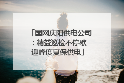 国网庆阳供电公司：精益巡检不停歇 迎峰度夏保供电
