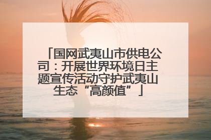 国网武夷山市供电公司：开展世界环境日主题宣传活动守护武夷山生态“高颜值”