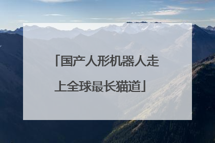 国产人形机器人走上全球最长猫道