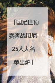 国足世预赛客战印尼25人大名单出炉