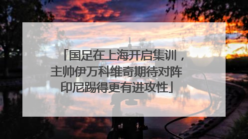 国足在上海开启集训，主帅伊万科维奇期待对阵印尼踢得更有进攻性