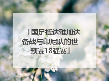 国足抵达雅加达备战与印尼队的世预赛18强赛