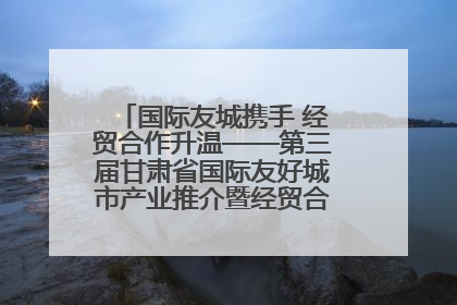 国际友城携手 经贸合作升温——第三届甘肃省国际友好城市产业推介暨经贸合作对接活动特写
