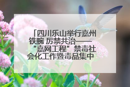 四川乐山举行嘉州铁腕 厉禁共治——“嘉网工程”禁毒社会化工作暨毒品集中销毁启动仪式
