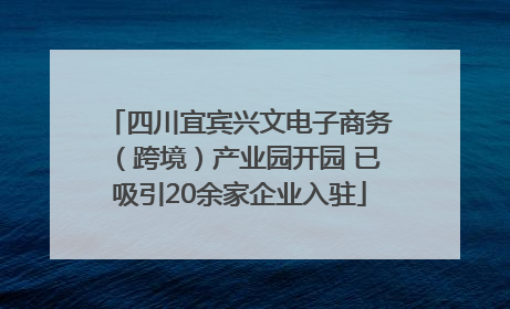 四川宜宾兴文电子商务（跨境）产业园开园 已吸引20余家企业入驻