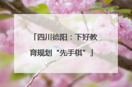 四川德阳：下好教育规划“先手棋”