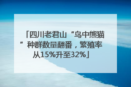 四川老君山“鸟中熊猫”种群数量翻番，繁殖率从15%升至32%