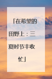 在希望的田野上：三夏时节丰收忙